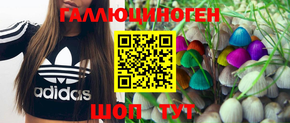 Псилоцибиновые грибы Psilocybine cubensis Стрежевой