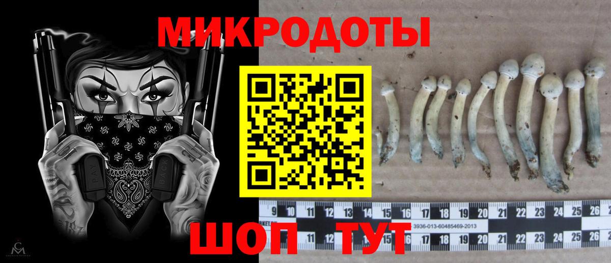 Псилоцибиновые грибы MAGIC MUSHROOMS  Вход с VPN  Стрежевой 